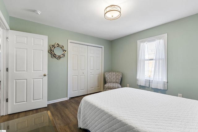 bedroom featuring dark wood-type flooring and a closet