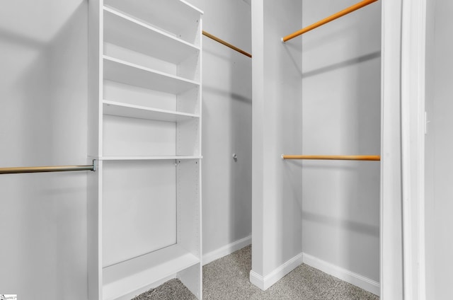 spacious closet featuring light colored carpet