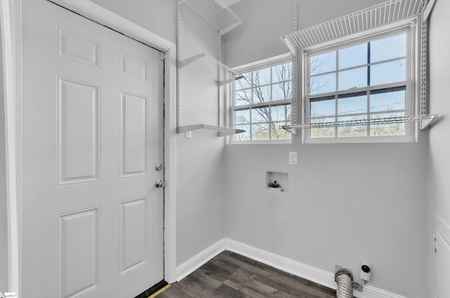 washroom featuring electric dryer hookup, washer hookup, and dark hardwood / wood-style floors