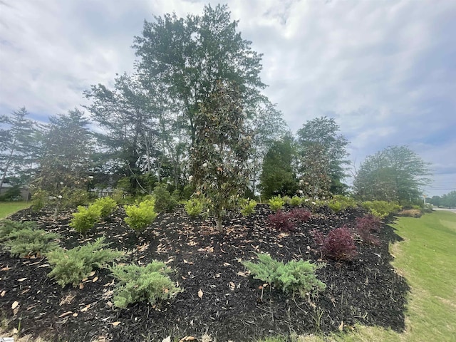 203 Brown Cir Lot 87, Easley, SC 29642 - view of yard