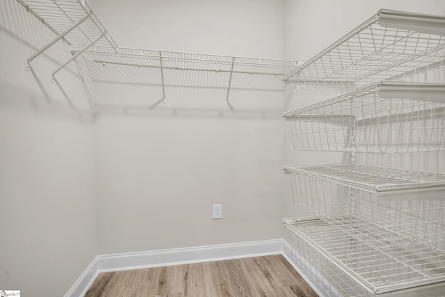 spacious closet featuring wood-type flooring