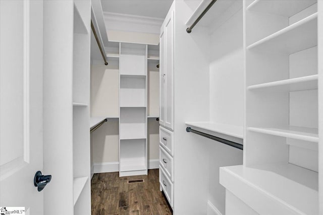 spacious closet with dark hardwood / wood-style floors