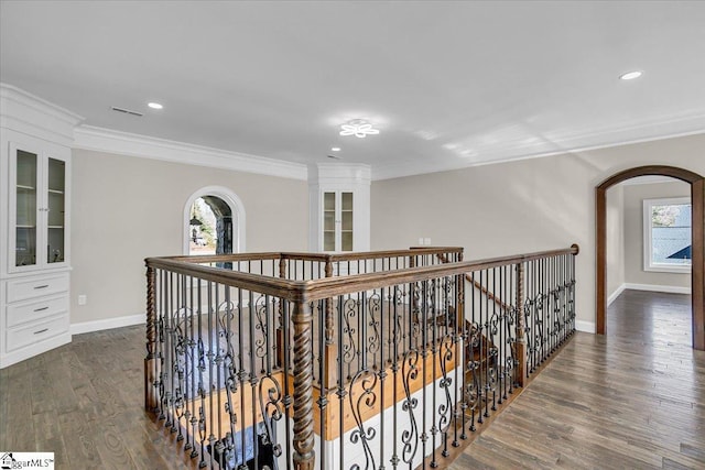 corridor with crown molding and dark hardwood / wood-style floors