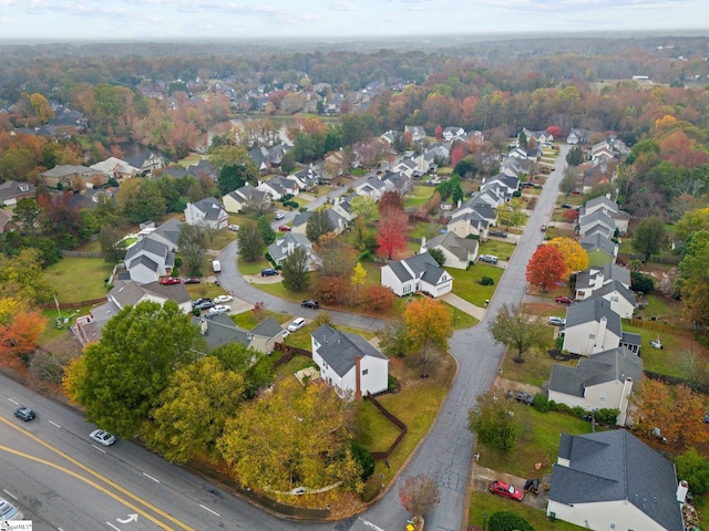 bird's eye view