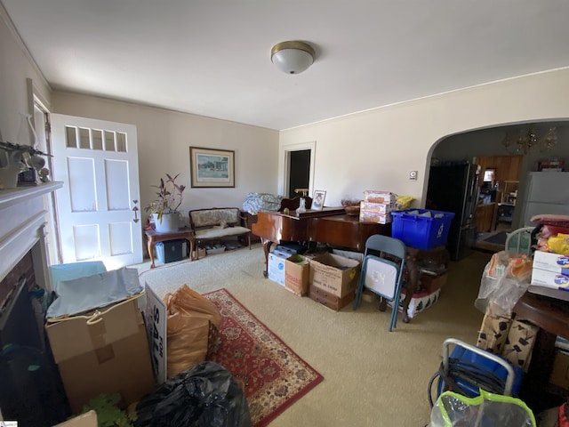 living room with carpet floors