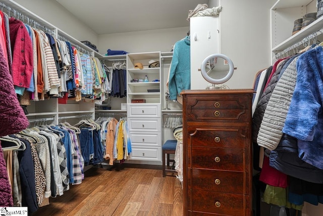 walk in closet featuring hardwood / wood-style flooring