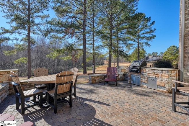 view of patio / terrace featuring an outdoor kitchen