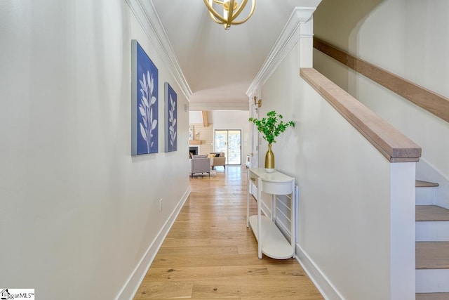 corridor featuring hardwood / wood-style flooring and crown molding