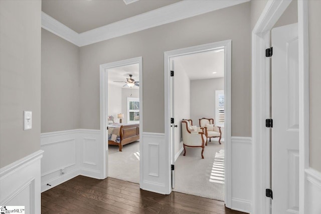 hall featuring crown molding and dark hardwood / wood-style floors