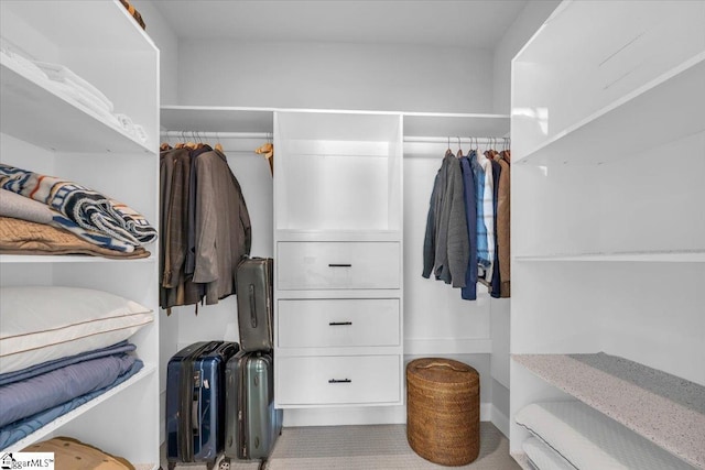 view of walk in closet