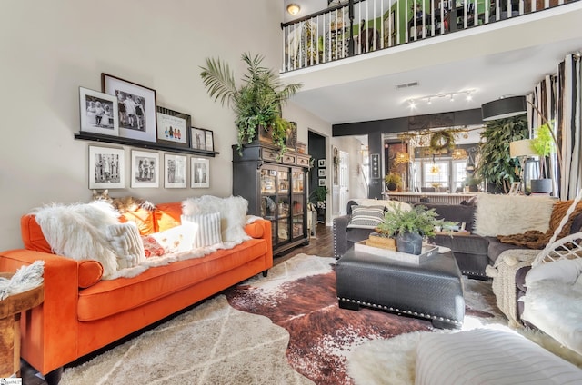 living room featuring a high ceiling and wood-type flooring