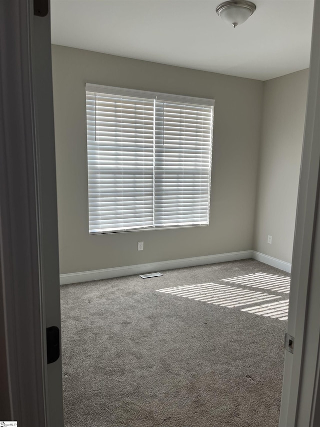 carpeted spare room with a wealth of natural light