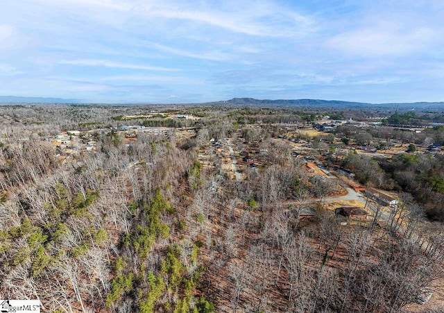 birds eye view of property featuring a mountain view