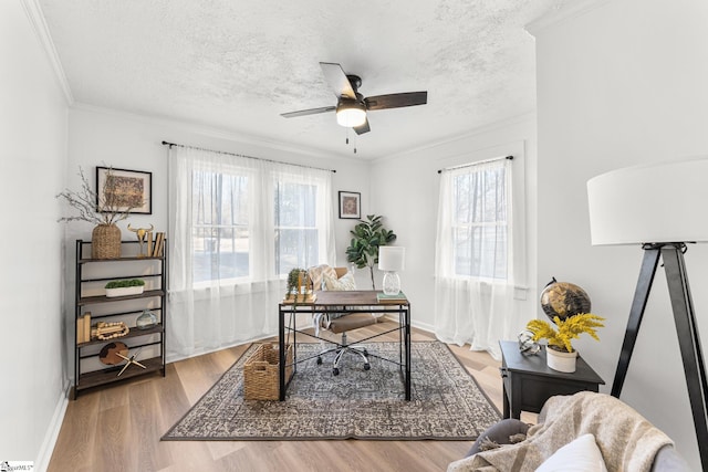 office space with crown molding, hardwood / wood-style flooring, and a textured ceiling