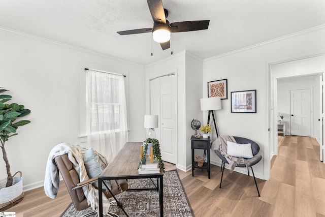 office with ornamental molding, ceiling fan, and light hardwood / wood-style floors