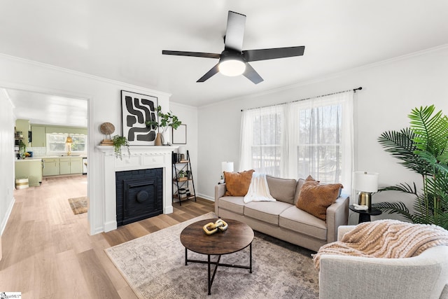 living room with ornamental molding, a healthy amount of sunlight, and light hardwood / wood-style floors