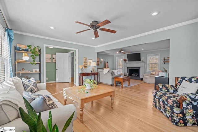 living room with crown molding, ceiling fan, and light wood-type flooring