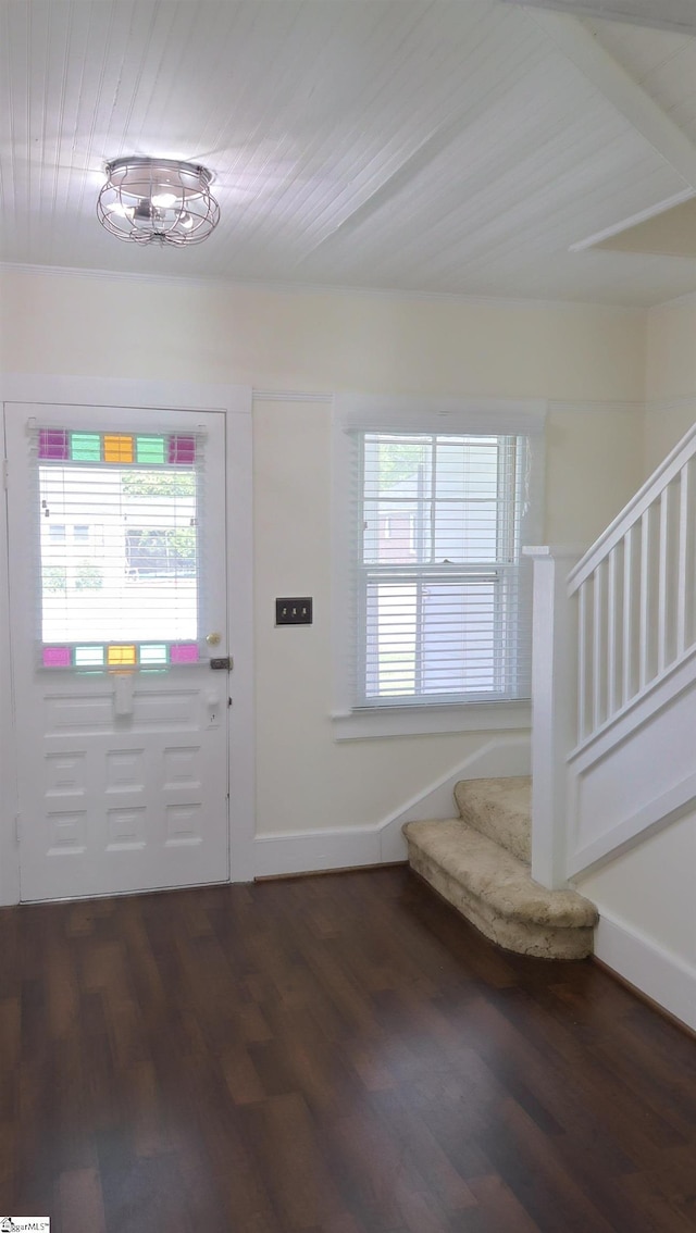 foyer entrance featuring dark wood-type flooring