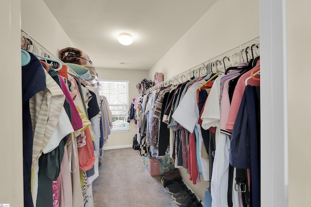 spacious closet with carpet flooring