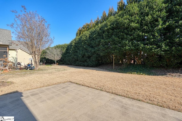 view of yard featuring a patio