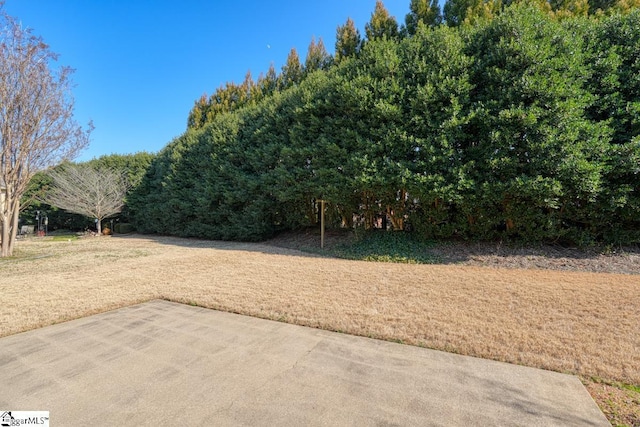 view of yard with a patio area