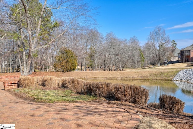 view of yard featuring a water view