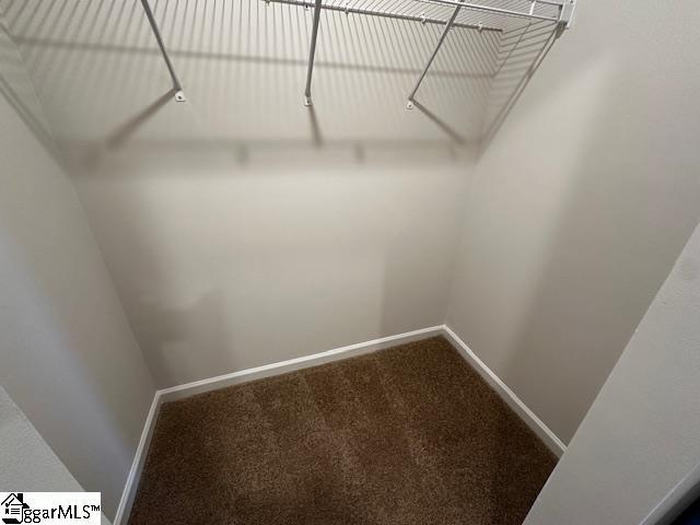 spacious closet with carpet