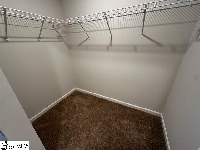 spacious closet featuring carpet floors