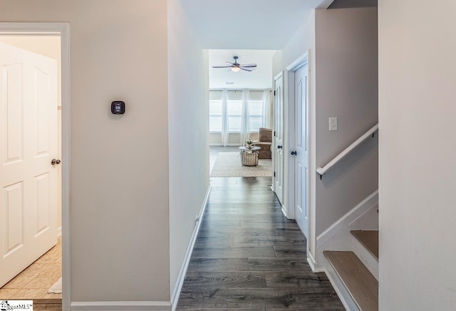 hallway featuring dark wood-type flooring