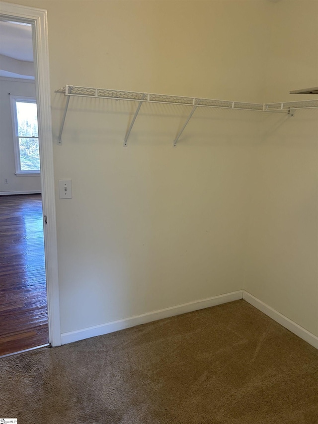 spacious closet with dark colored carpet