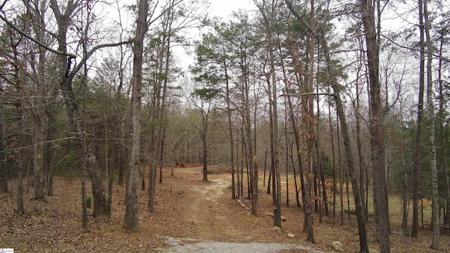 160 Raybrook Ct, Taylors, SC 29687