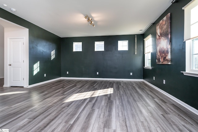 empty room with hardwood / wood-style flooring