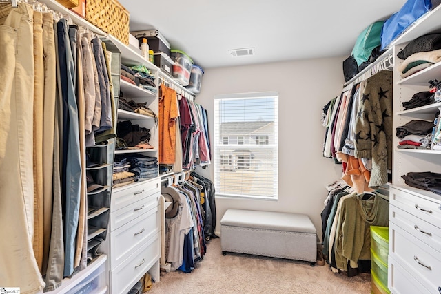 walk in closet with light carpet