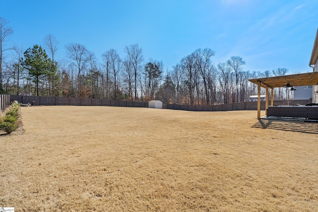 view of yard with a storage shed