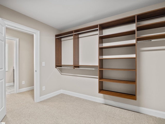 walk in closet featuring carpet floors