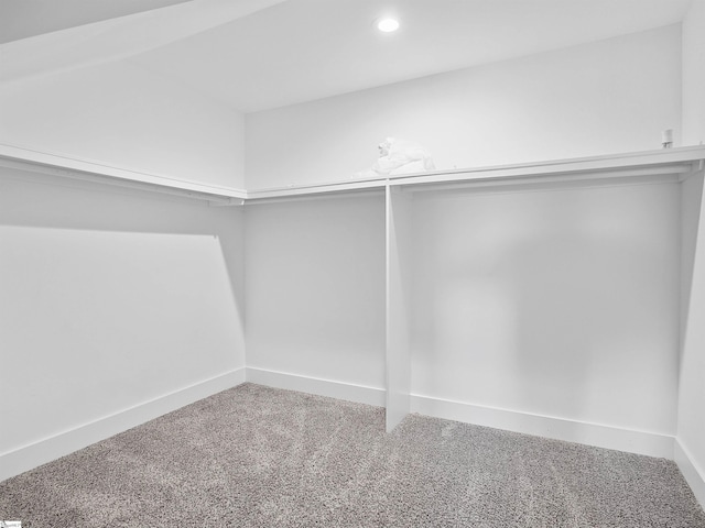 spacious closet featuring carpet flooring