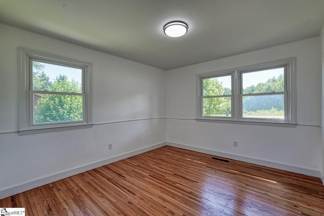 empty room with wood-type flooring and plenty of natural light