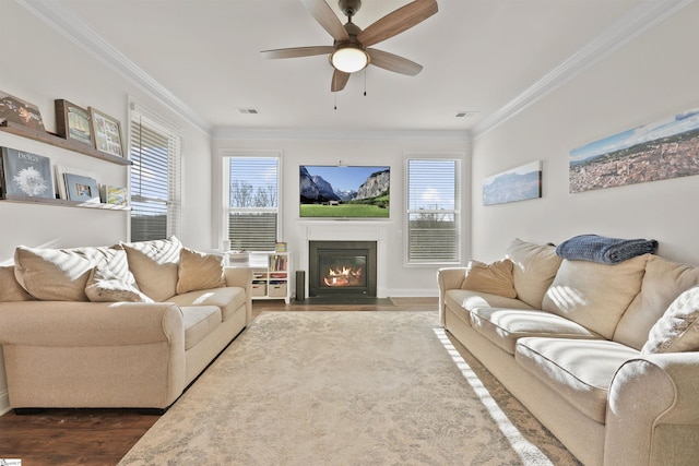 living room featuring ceiling fan, hardwood / wood-style flooring, ornamental molding, and a healthy amount of sunlight