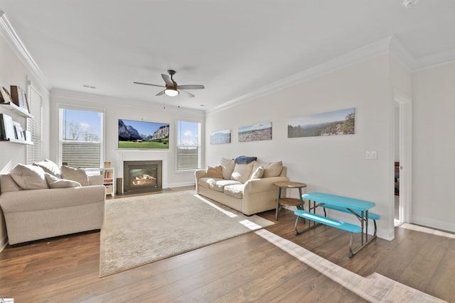 living room with ceiling fan, ornamental molding, and wood-type flooring