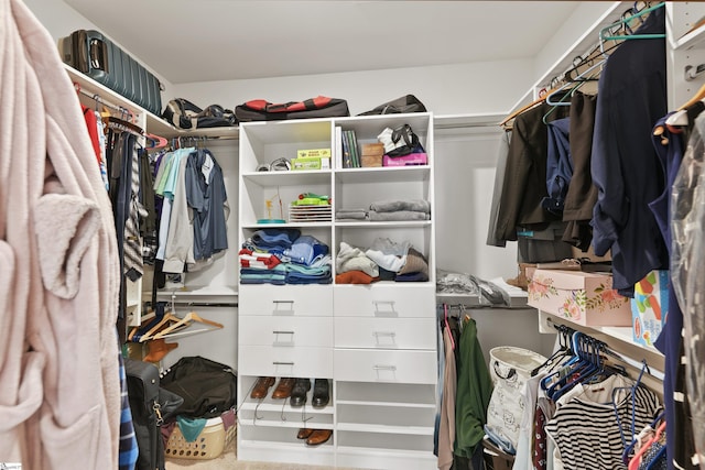 view of walk in closet