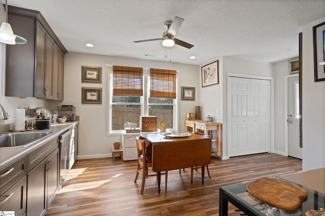 dining area with sink, hardwood / wood-style floors, a textured ceiling, and ceiling fan