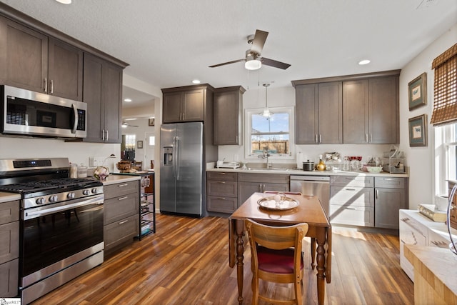 kitchen with decorative light fixtures, dark brown cabinets, stainless steel appliances, and dark hardwood / wood-style floors