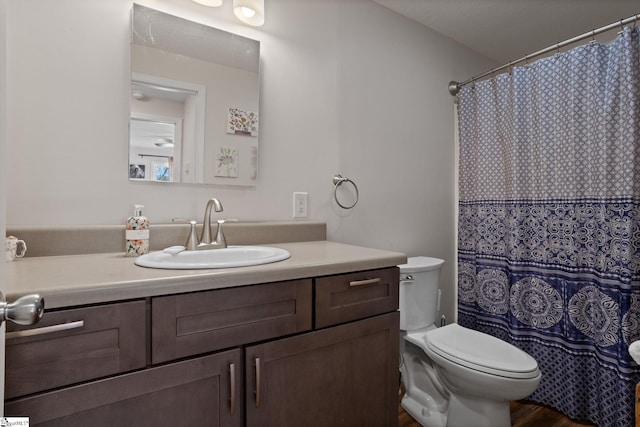 bathroom featuring vanity, toilet, and curtained shower