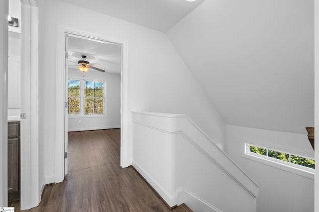 hallway with lofted ceiling and dark hardwood / wood-style floors