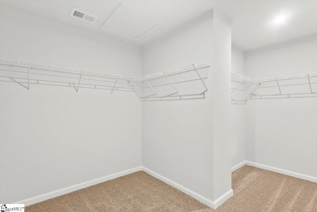 walk in closet featuring carpet floors, attic access, and visible vents