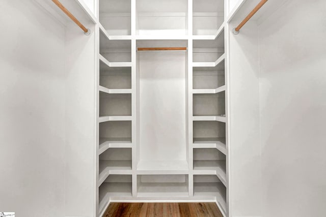 spacious closet with dark wood-type flooring