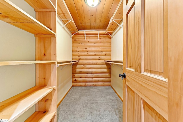 spacious closet with light colored carpet