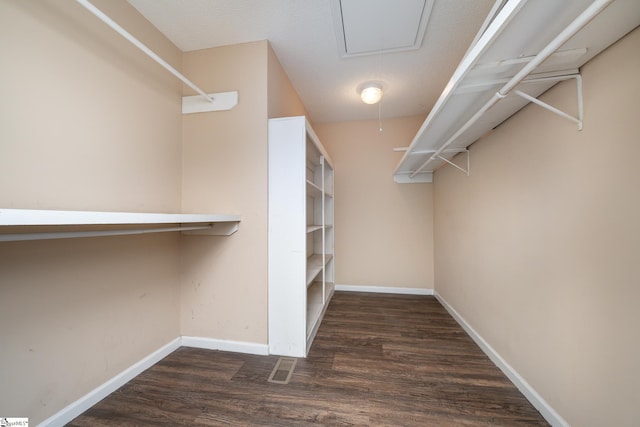 spacious closet featuring dark hardwood / wood-style floors