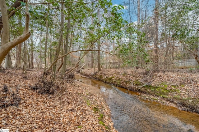 view of local wilderness