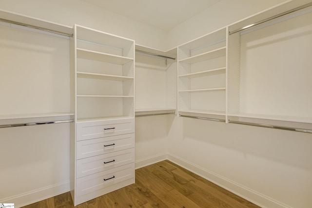 spacious closet with hardwood / wood-style floors